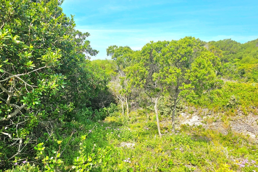 0 Bedroom Property for Sale in Paradise Beach Eastern Cape